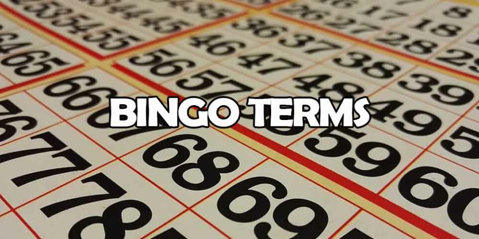 Bingo terms