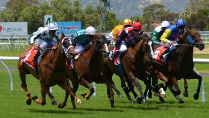 horse racing betting guide