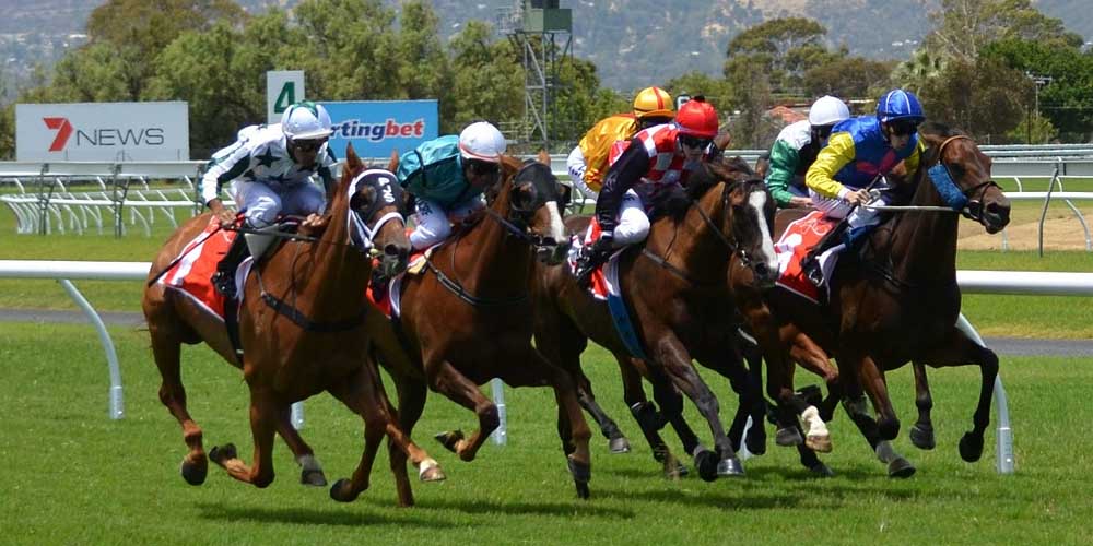 Horse Racing Betting Guide - Tips For Beginner Punters