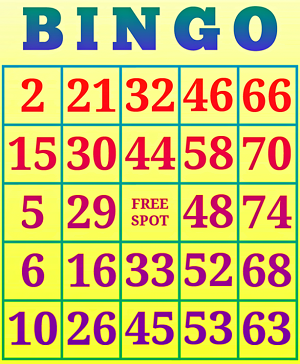 online bingo randomizer