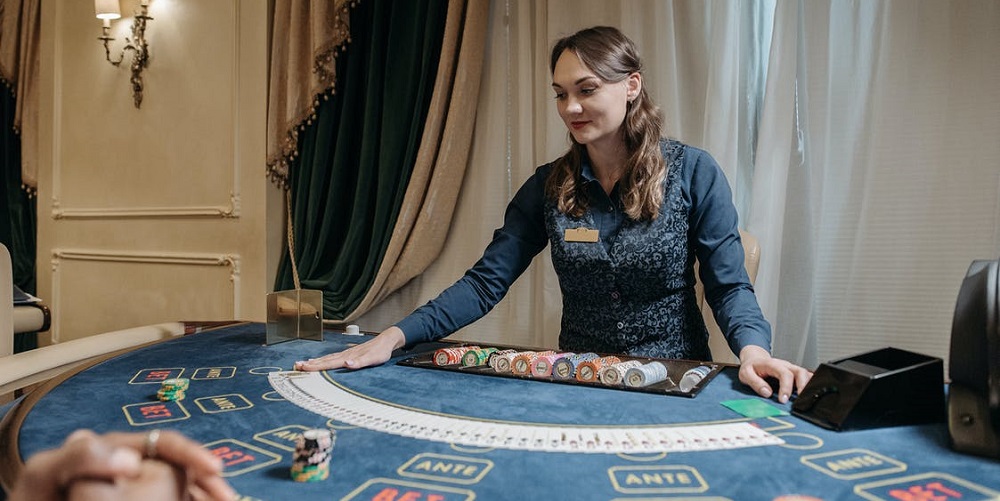 How To a Casino Dealer in 5 Steps BonusPirates
